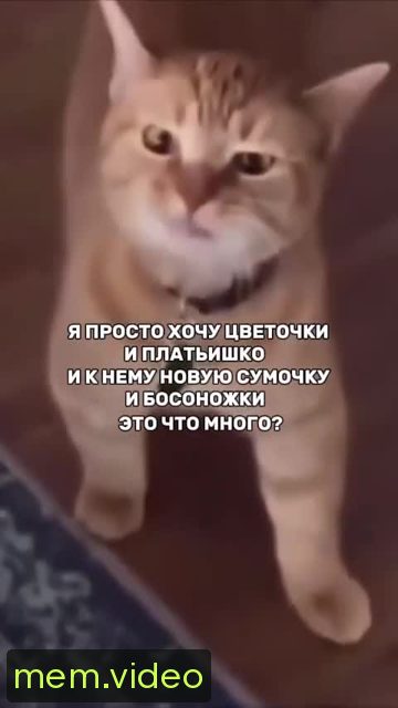 Кадр на 0:02