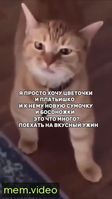 Кадр на 0:03