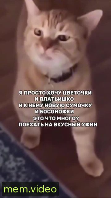 Кадр на 0:04