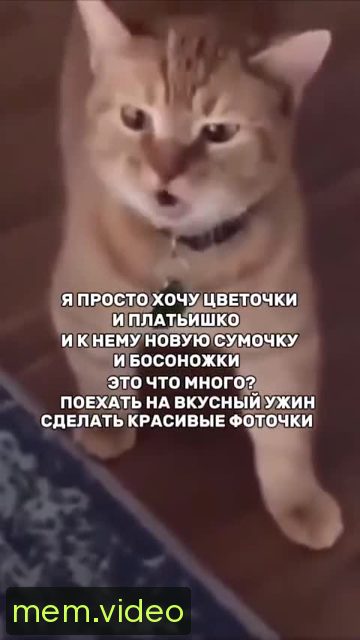 Кадр на 0:04