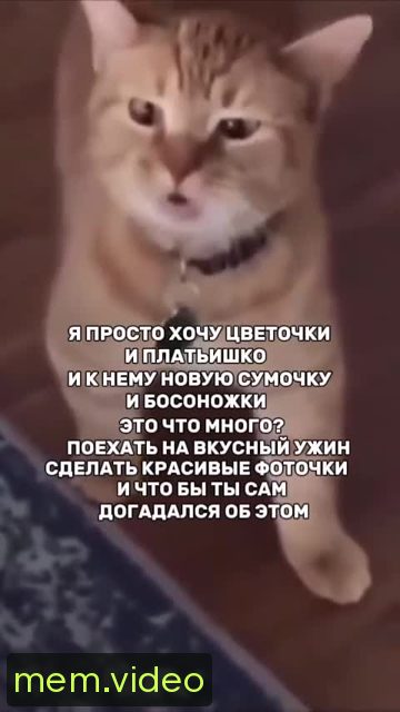 Кадр на 0:05