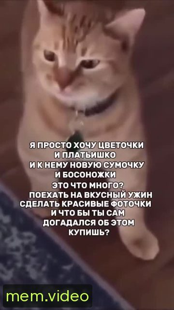 Кадр на 0:06