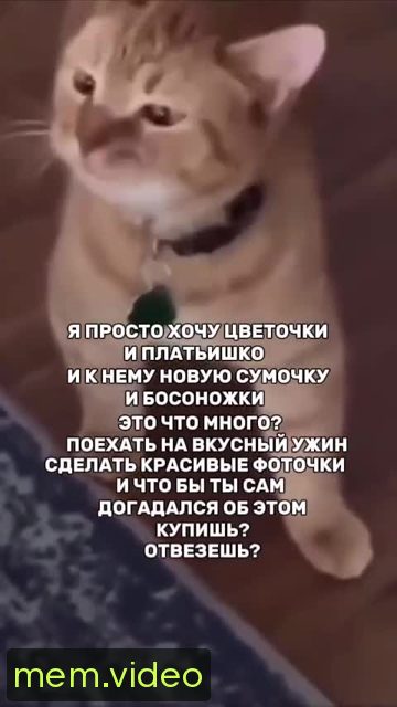 Кадр на 0:06