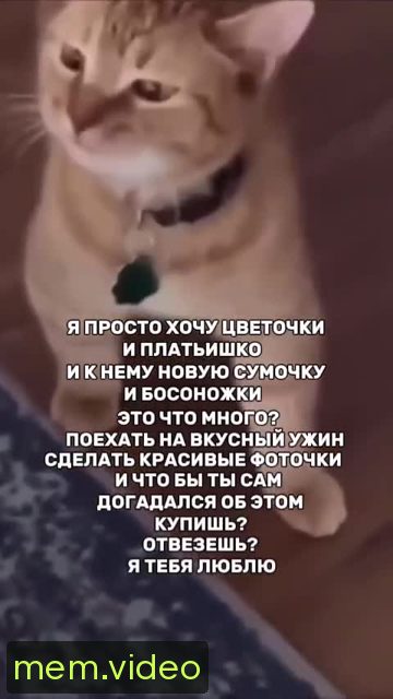 Кадр на 0:07