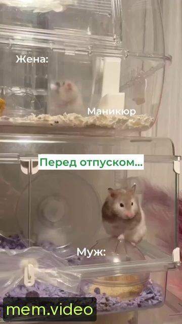 Кадр на 0:00
