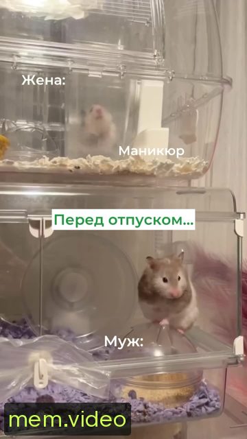 Кадр на 0:00