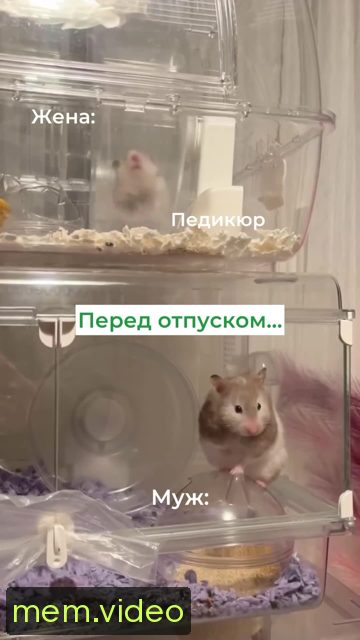 Кадр на 0:01