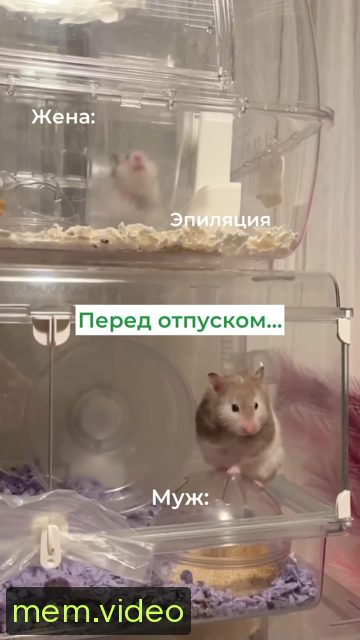 Кадр на 0:02