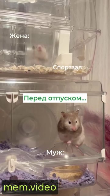 Кадр на 0:03