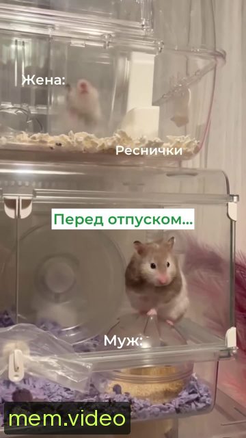 Кадр на 0:04