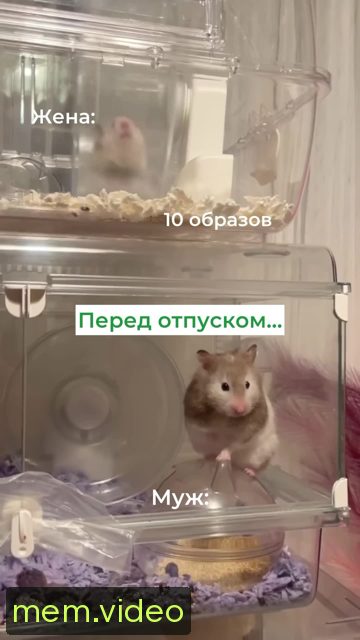 Кадр на 0:05