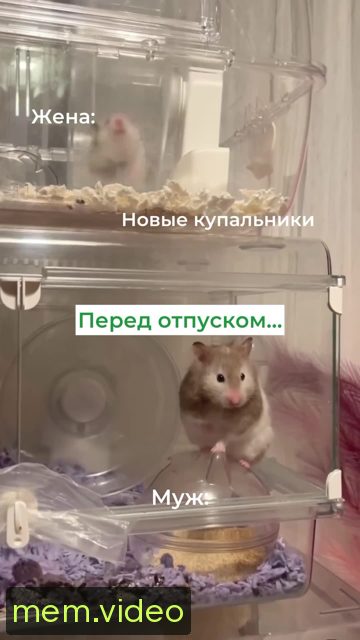 Кадр на 0:05
