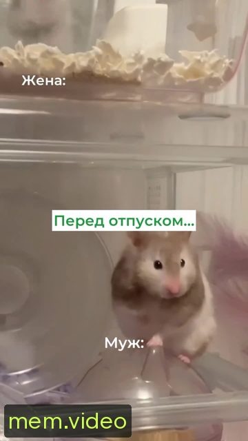 Кадр на 0:06