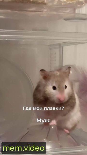 Кадр на 0:07