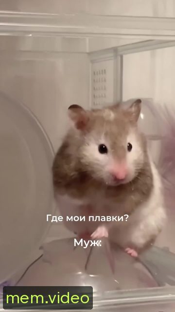 Кадр на 0:08
