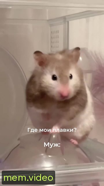Кадр на 0:09