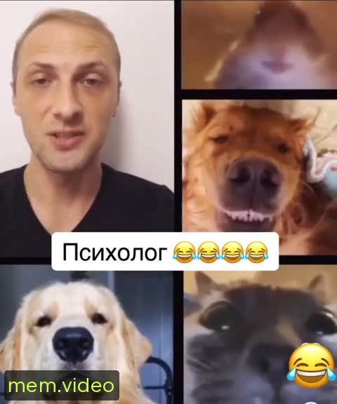 Кадр на 0:02