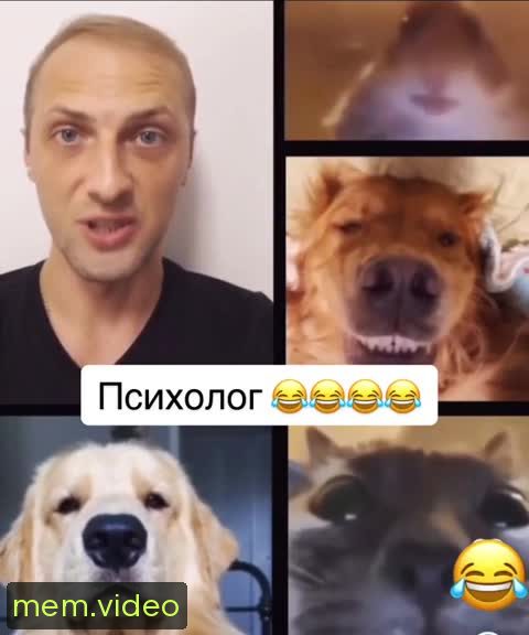 Кадр на 0:05