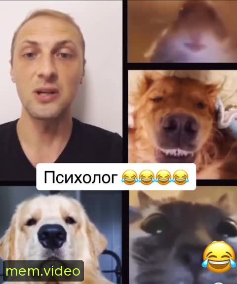Кадр на 0:07