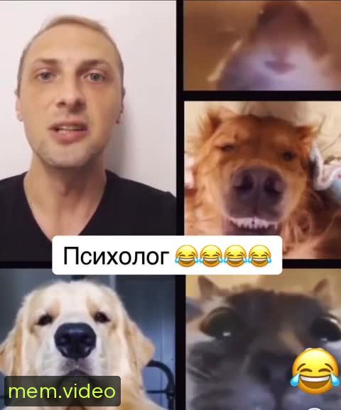 Кадр на 0:09