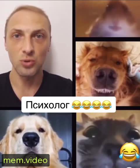 Кадр на 0:12