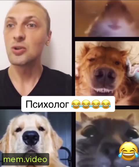 Кадр на 0:17