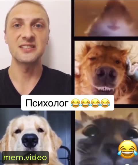 Кадр на 0:20