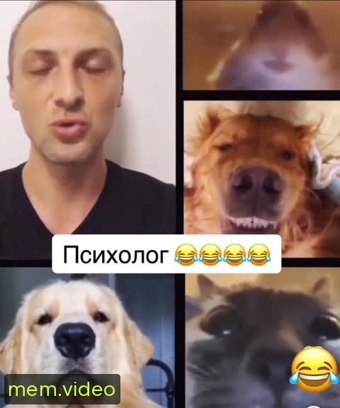 Кадр на 0:22