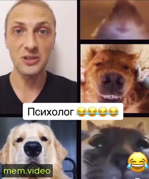 Кадр на 0:25