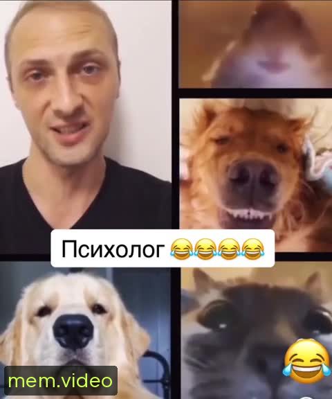 Кадр на 0:27