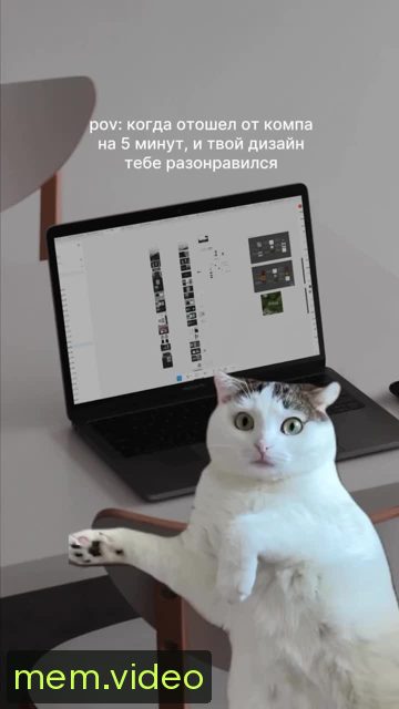 Кадр на 0:00