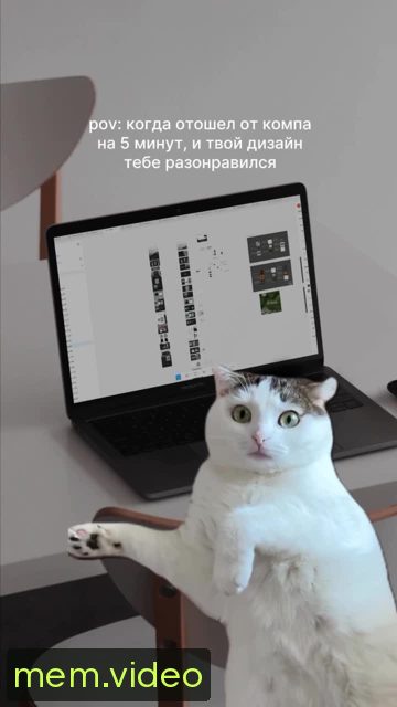 Кадр на 0:00
