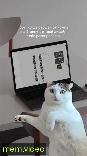 Кадр на 0:00