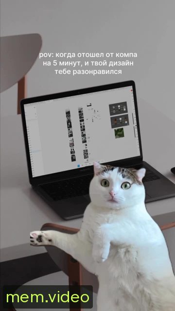 Кадр на 0:01