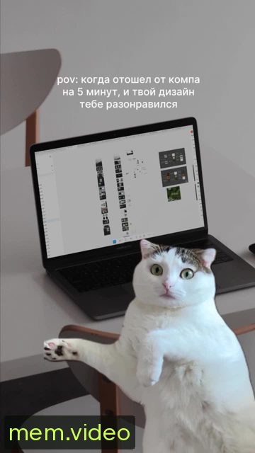Кадр на 0:01