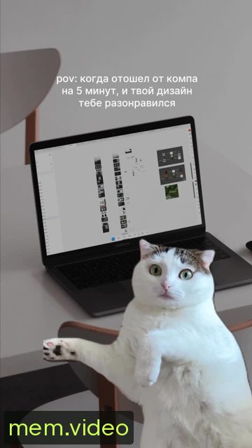 Кадр на 0:02