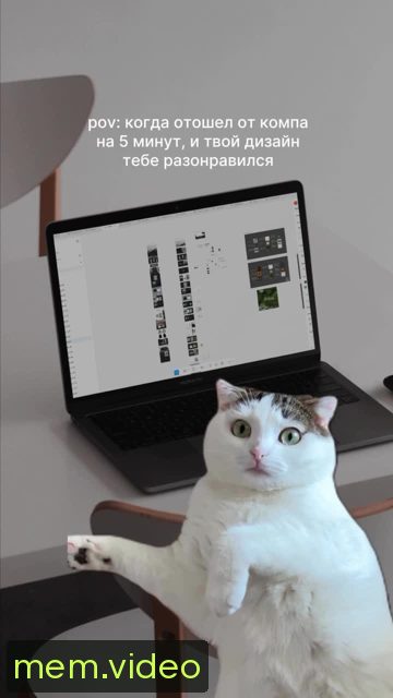 Кадр на 0:02