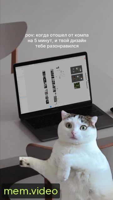 Кадр на 0:02