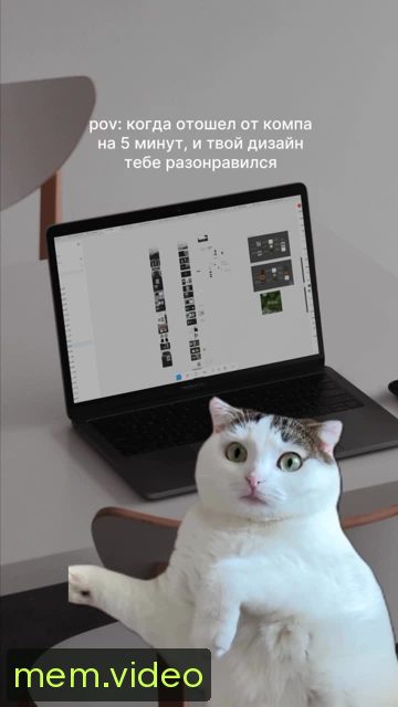 Кадр на 0:02