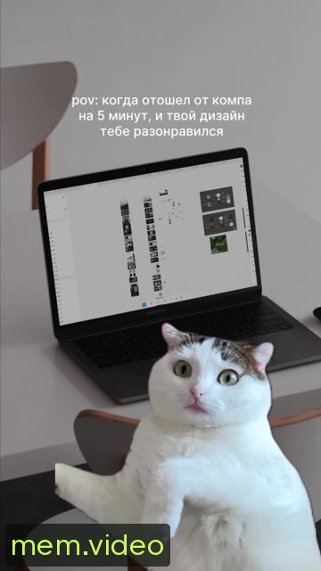 Кадр на 0:03