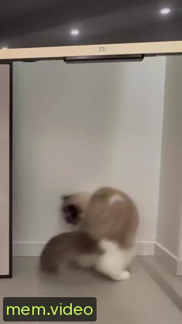 Кадр на 0:02