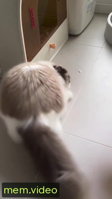 Кадр на 0:10