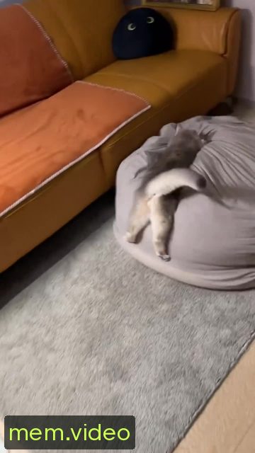 Кадр на 0:01