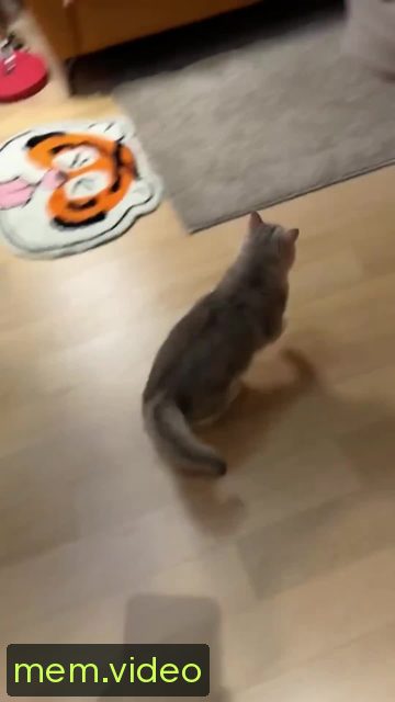 Кадр на 0:02