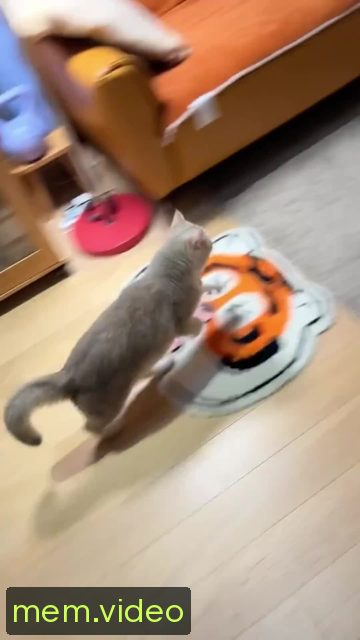 Кадр на 0:04