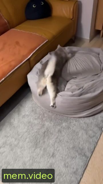 Кадр на 0:06