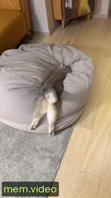 Кадр на 0:08