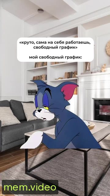 Кадр на 0:00