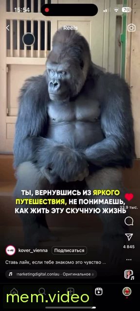 Кадр на 0:01