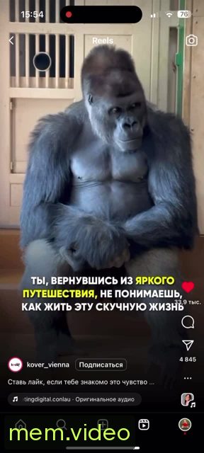Кадр на 0:03